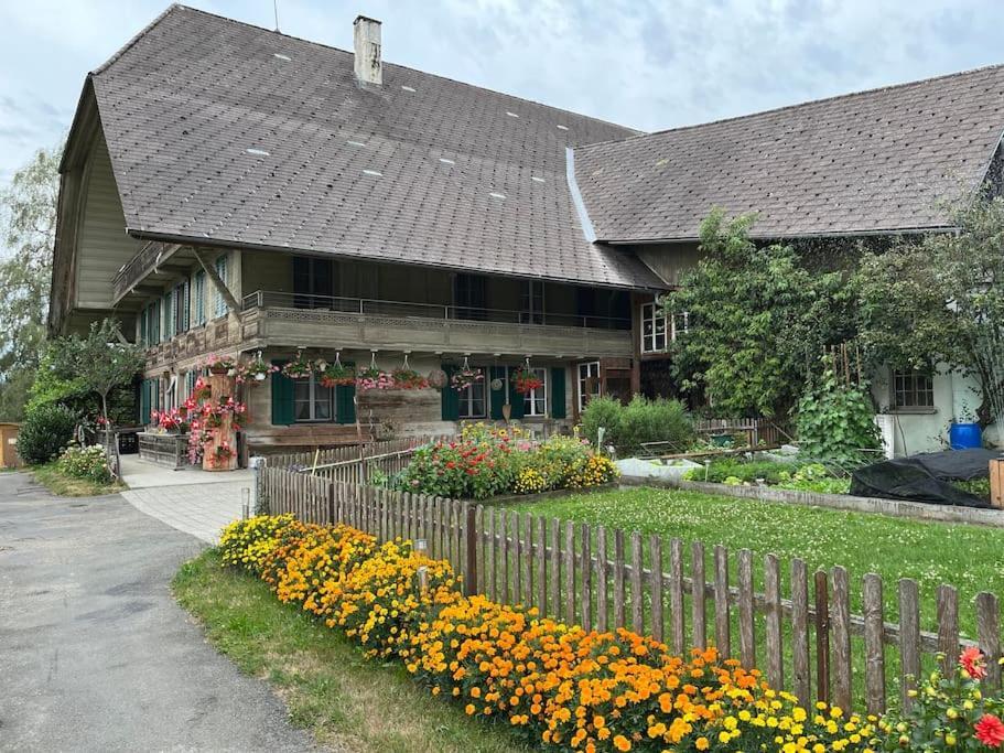 Auf Bauernhof Mit Hotpot Und Sauna