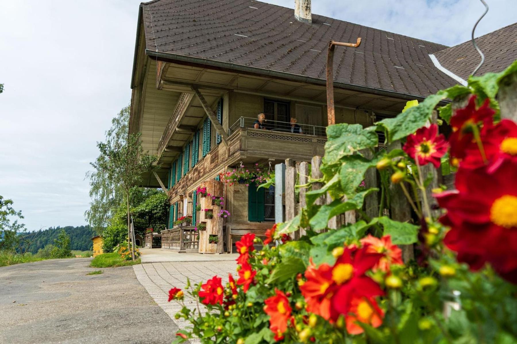 Auf Bauernhof Mit Hotpot Und Sauna Appartement
